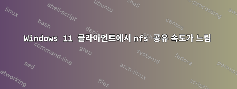 Windows 11 클라이언트에서 nfs 공유 속도가 느림