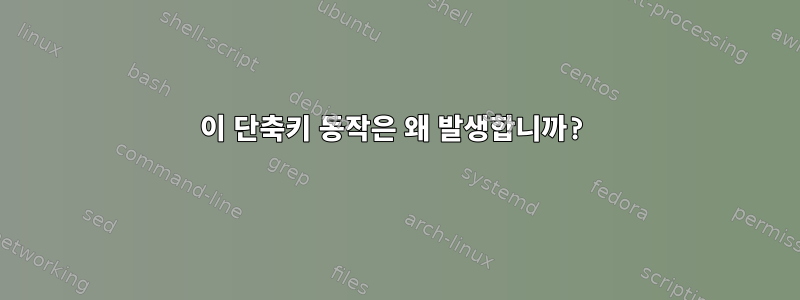 이 단축키 동작은 왜 발생합니까?