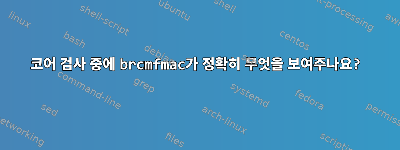 코어 검사 중에 brcmfmac가 정확히 무엇을 보여주나요?