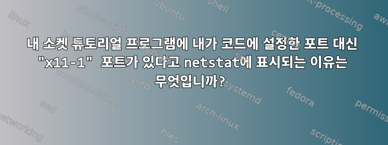 내 소켓 튜토리얼 프로그램에 내가 코드에 설정한 포트 대신 "x11-1" 포트가 있다고 netstat에 표시되는 이유는 무엇입니까?