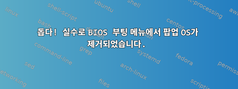 돕다! 실수로 BIOS 부팅 메뉴에서 팝업 OS가 제거되었습니다.