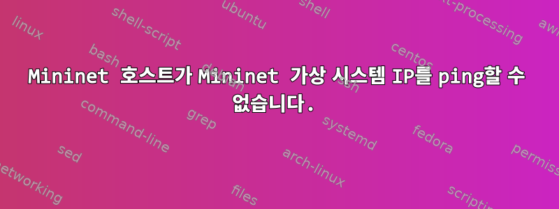 Mininet 호스트가 Mininet 가상 시스템 IP를 ping할 수 없습니다.