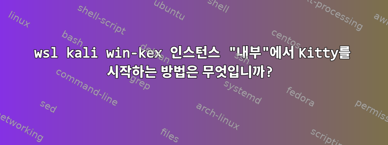 wsl kali win-kex 인스턴스 "내부"에서 Kitty를 시작하는 방법은 무엇입니까?