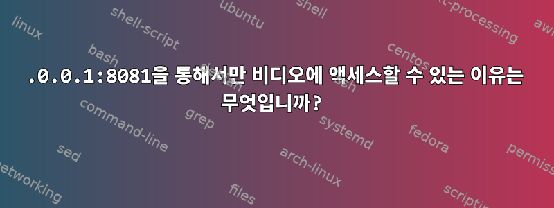 127.0.0.1:8081을 통해서만 비디오에 액세스할 수 있는 이유는 무엇입니까?