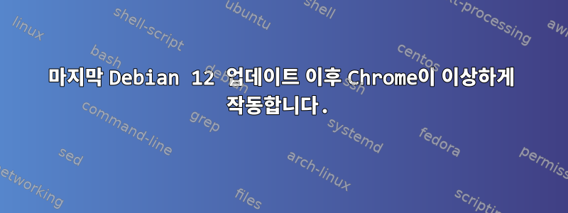 마지막 Debian 12 업데이트 이후 Chrome이 이상하게 작동합니다.