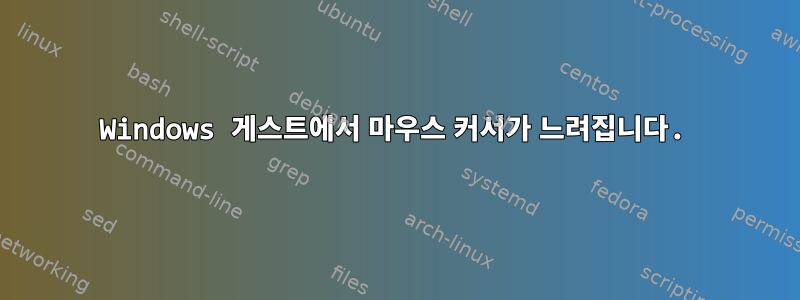 Windows 게스트에서 마우스 커서가 느려집니다.