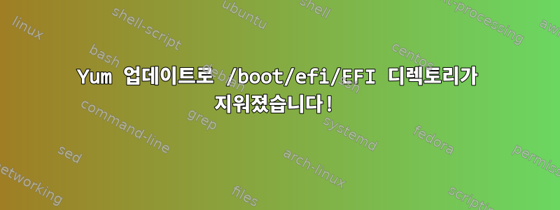 Yum 업데이트로 /boot/efi/EFI 디렉토리가 지워졌습니다!