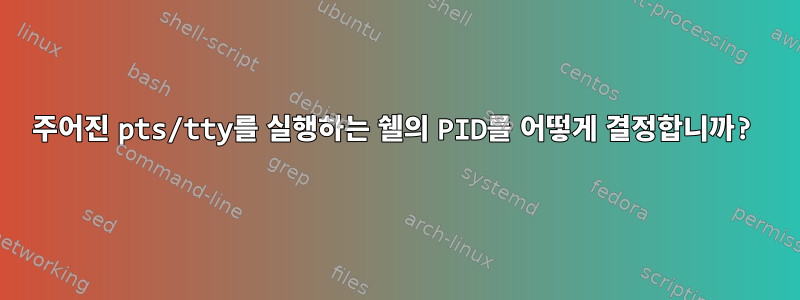 주어진 pts/tty를 실행하는 쉘의 PID를 어떻게 결정합니까?