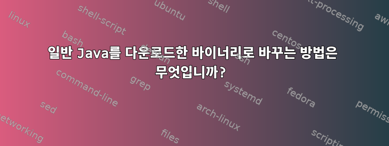 일반 Java를 다운로드한 바이너리로 바꾸는 방법은 무엇입니까?