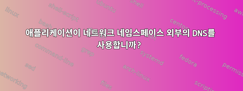 애플리케이션이 네트워크 네임스페이스 외부의 DNS를 사용합니까?