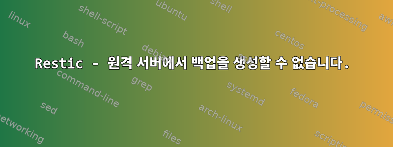 Restic - 원격 서버에서 백업을 생성할 수 없습니다.