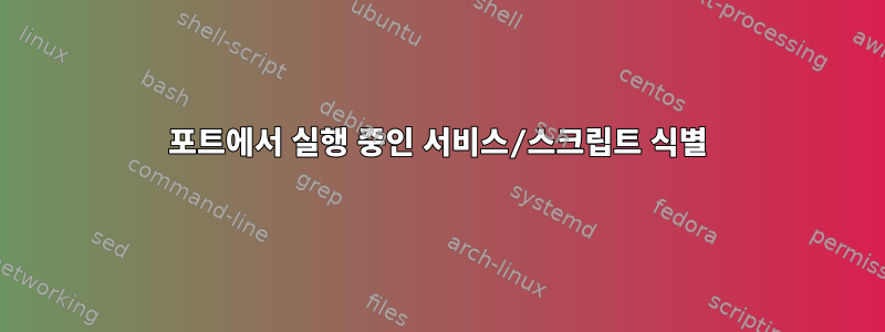 포트에서 실행 중인 서비스/스크립트 식별