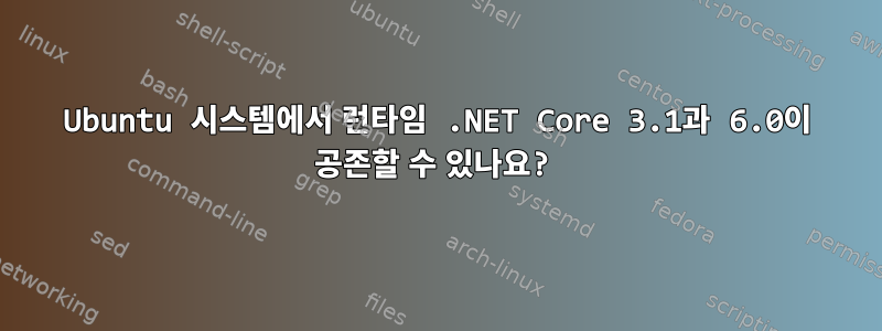 Ubuntu 시스템에서 런타임 .NET Core 3.1과 6.0이 공존할 수 있나요?