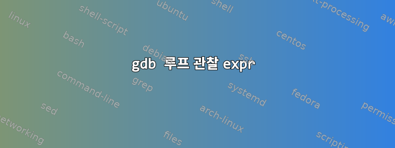 gdb 루프 관찰 expr