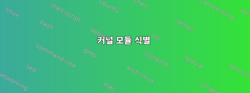 커널 모듈 식별