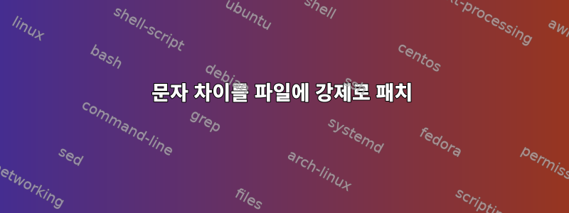 문자 차이를 파일에 강제로 패치