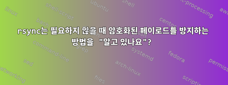 rsync는 필요하지 않을 때 암호화된 페이로드를 방지하는 방법을 "알고 있나요"?