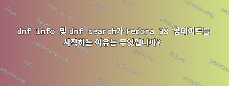 dnf info 및 dnf search가 Fedora 38 업데이트를 시작하는 이유는 무엇입니까?