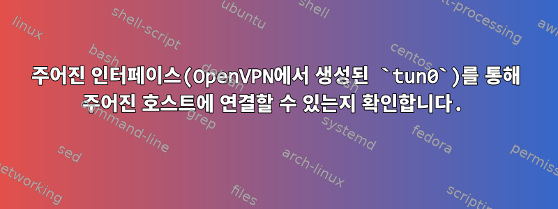 주어진 인터페이스(OpenVPN에서 생성된 `tun0`)를 통해 주어진 호스트에 연결할 수 있는지 확인합니다.