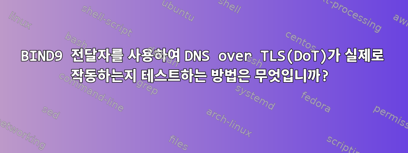 BIND9 전달자를 사용하여 DNS over TLS(DoT)가 실제로 작동하는지 테스트하는 방법은 무엇입니까?