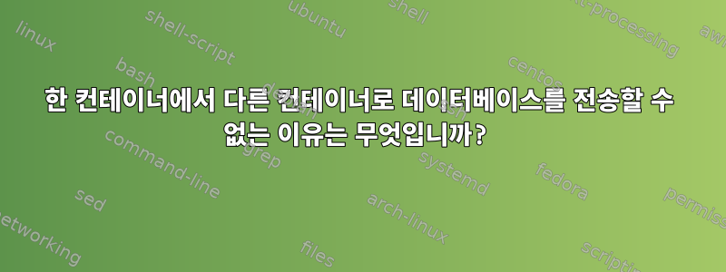 한 컨테이너에서 다른 컨테이너로 데이터베이스를 전송할 수 없는 이유는 무엇입니까?