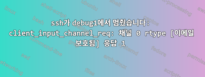 ssh가 debug1에서 멈췄습니다: client_input_channel_req: 채널 0 rtype [이메일 보호됨] 응답 1