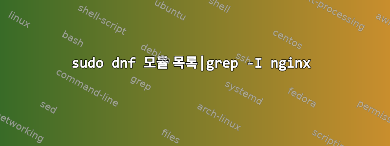 sudo dnf 모듈 목록|grep -I nginx