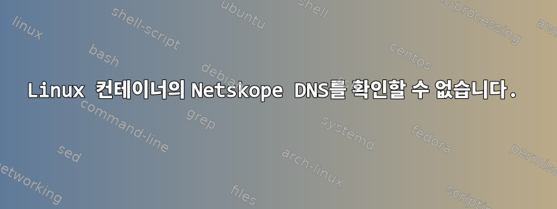 Linux 컨테이너의 Netskope DNS를 확인할 수 없습니다.