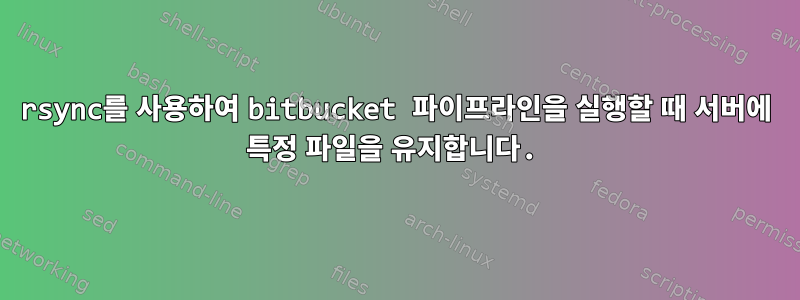 rsync를 사용하여 bitbucket 파이프라인을 실행할 때 서버에 특정 파일을 유지합니다.