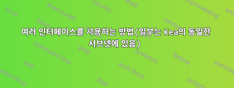 여러 인터페이스를 사용하는 방법(일부는 Kea의 동일한 서브넷에 있음)