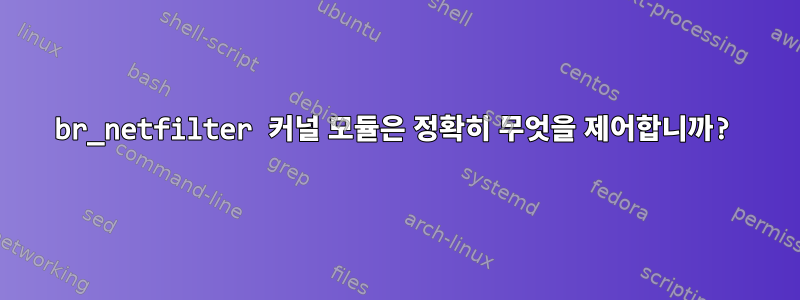 br_netfilter 커널 모듈은 정확히 무엇을 제어합니까?