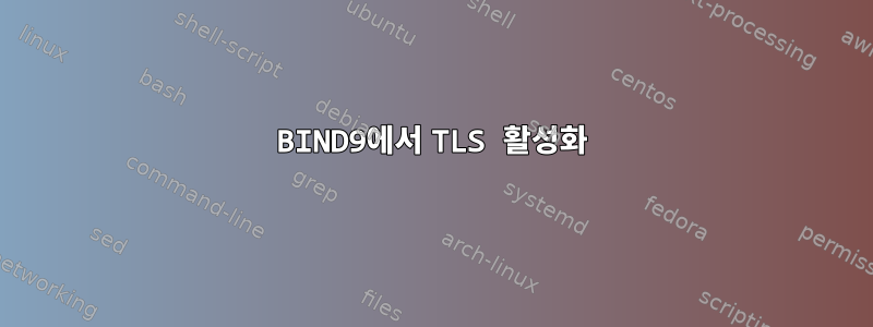 BIND9에서 TLS 활성화