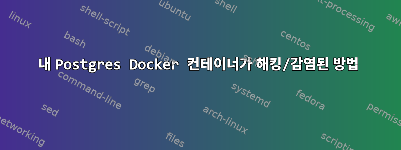 내 Postgres Docker 컨테이너가 해킹/감염된 방법