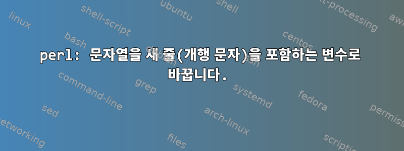 perl: 문자열을 새 줄(개행 문자)을 포함하는 변수로 바꿉니다.