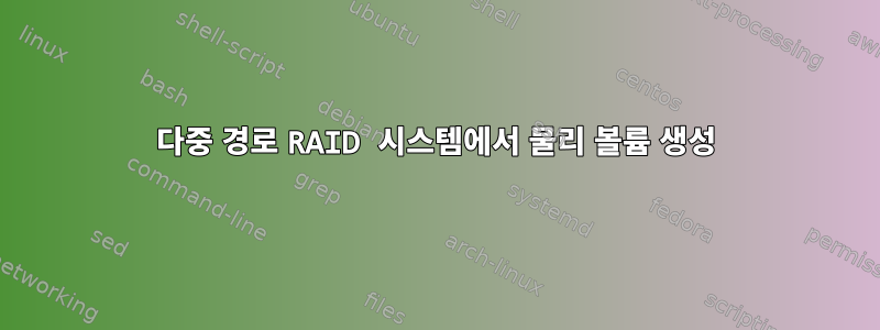 다중 경로 RAID 시스템에서 물리 볼륨 생성