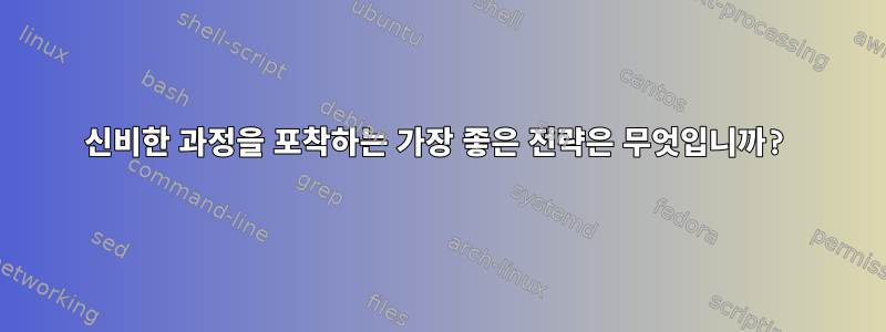 신비한 과정을 포착하는 가장 좋은 전략은 무엇입니까?