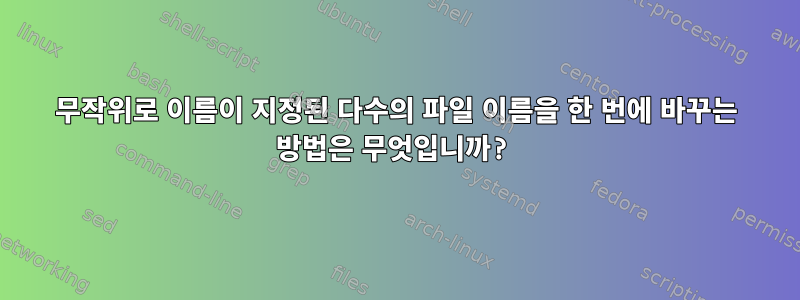 무작위로 이름이 지정된 다수의 파일 이름을 한 번에 바꾸는 방법은 무엇입니까?