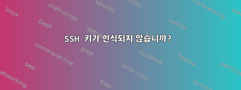 SSH 키가 인식되지 않습니까?