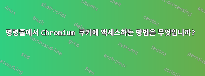 명령줄에서 Chromium 쿠키에 액세스하는 방법은 무엇입니까?