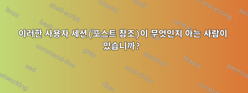 이러한 사용자 세션(포스트 참조)이 무엇인지 아는 사람이 있습니까?