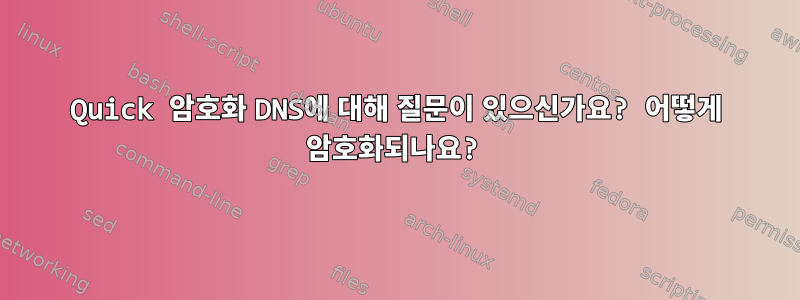 Quick 암호화 DNS에 대해 질문이 있으신가요? 어떻게 암호화되나요?