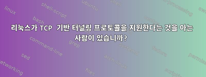 리눅스가 TCP 기반 터널링 프로토콜을 지원한다는 것을 아는 사람이 있습니까?