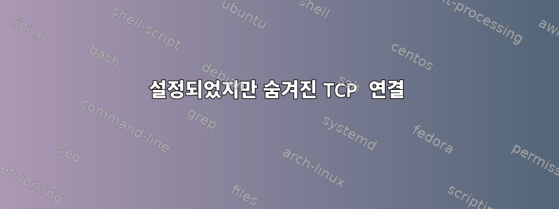 설정되었지만 숨겨진 TCP 연결