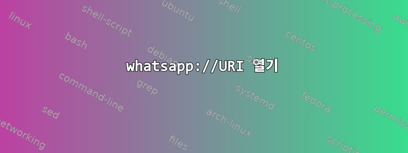 whatsapp://URI 열기