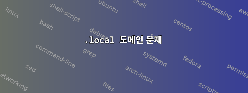 .local 도메인 문제