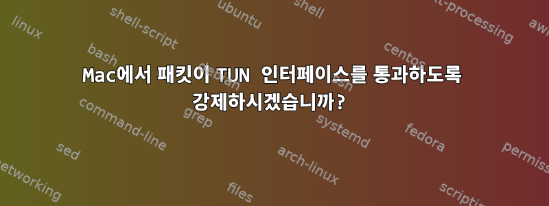 Mac에서 패킷이 TUN 인터페이스를 통과하도록 강제하시겠습니까?