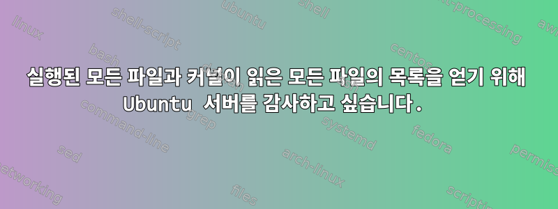 실행된 모든 파일과 커널이 읽은 모든 파일의 목록을 얻기 위해 Ubuntu 서버를 감사하고 싶습니다.