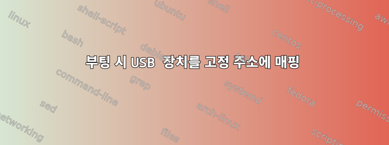 부팅 시 USB 장치를 고정 주소에 매핑