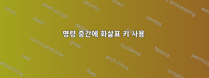 명령 중간에 화살표 키 사용