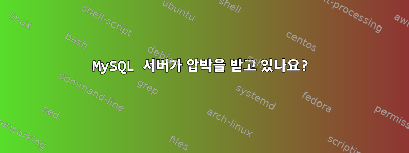 MySQL 서버가 압박을 받고 있나요?